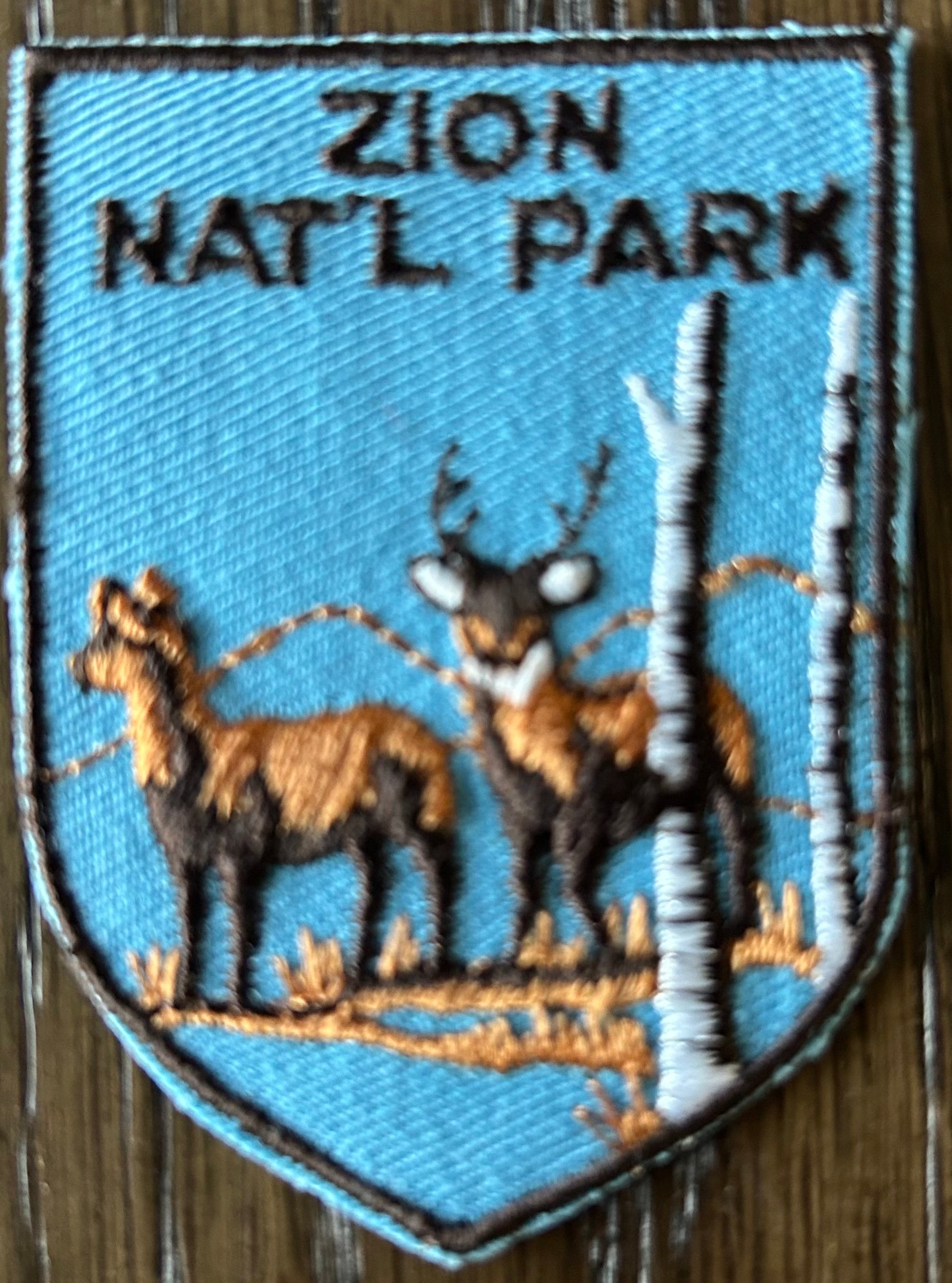 Vintage Zion National Park Patch