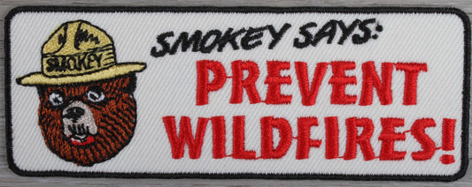 Vintage Smokey The Bear Prevent Wildfires Patch