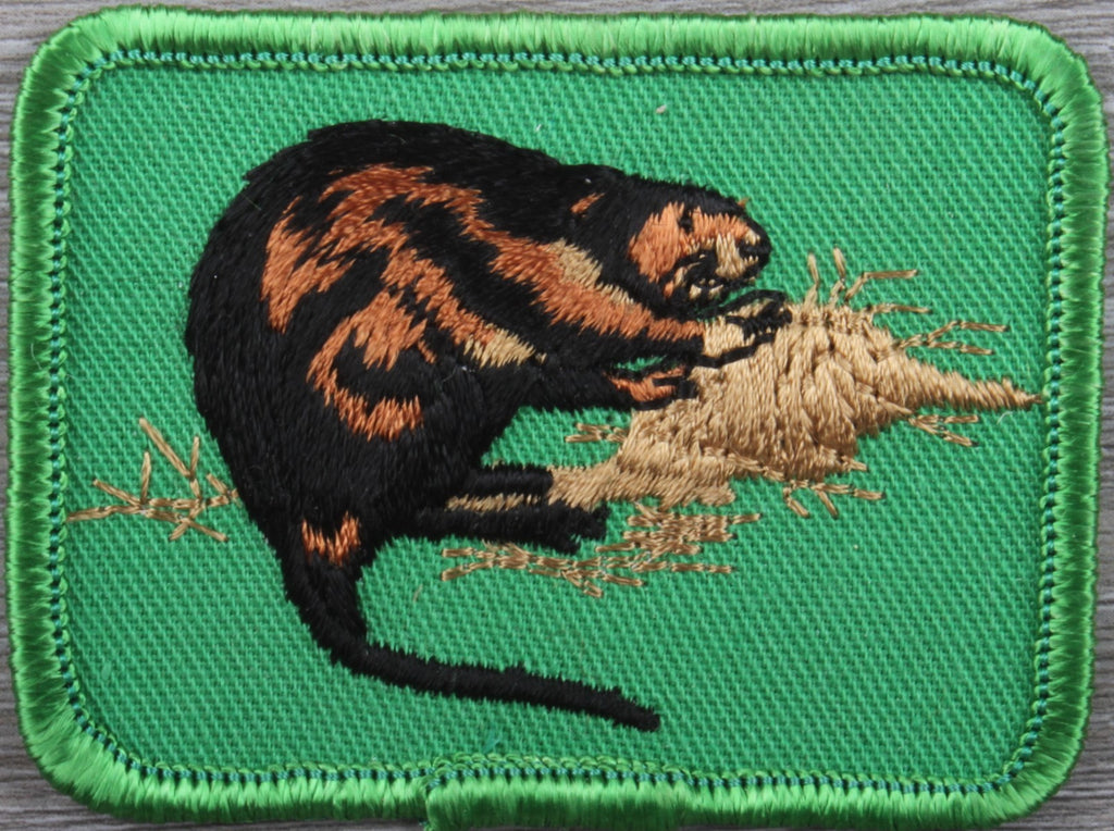 Vintage Beaver Patch - green